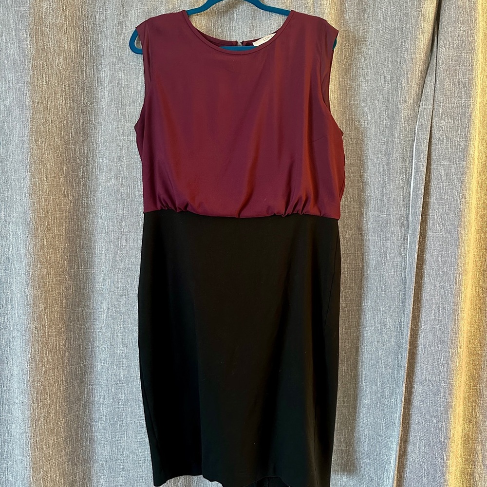 Elegant Two-Tone Sleeveless Dress